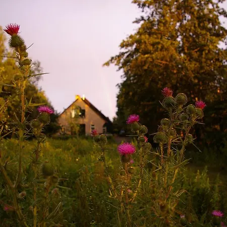 De Kuiperhoeve Country house